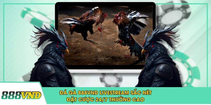 888VND - Link Trang Chủ 888VND ATQ 2026 | Tặng 888K 38 Đá Gà 888VND Livestream Sắc Nét Đặt Cược 24/7 Thưởng Cao